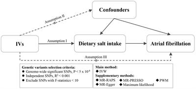 Evaluating the association between dietary salt intake and the risk of atrial fibrillation using Mendelian randomization